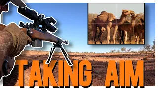 Outback Shooting Extravaganza: Part 1 - Camels Versus the PARD DS35 70RF