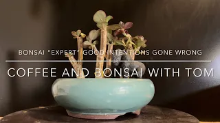 Bonsai ‘Expert’ Good Intentions Gone Wrong - Finding and Fixing Issues With A Dying Tree