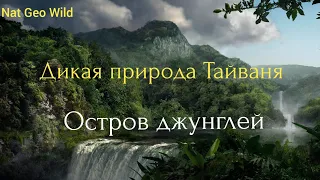 Nat Geo Wild. Дикая природа Тайваня. Остров джунглей.