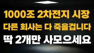 [주식] 1000조 2차전지 시장 다른 회사는 다 죽을겁니다! 딱 2개만 사모으세요[2차전지주식전망, 에코프로비엠주가전망, 성일하이텍주식전망, POSCO홀딩스주식전망]