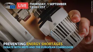 How to prevent energy disruption in the EU