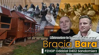 Mistrzowska hodowla Braci Bara -Recepta na sukcesu!!🏆🥇 PZHGP 0402 Sandomierz - 3X Mistrzostwo 2022🏆🥇