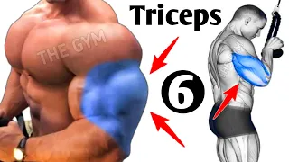 6 Perfect Triceps Exercises Get Huge Arms