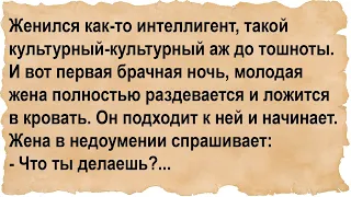 Первая брачная ночь культурного аж до тошноты интеллигента...