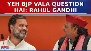 LS Polls 2024: Rahul Gandhi Keeps Up Suspense On Contesting From Amethi, Says 'Will Do Whatever..'