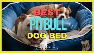 🔥 Best Dog Bed for Pitbull in 2024 ☑️ TOP 5 ☑️