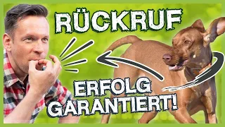 Rückruftraining! So trainierst du einen richtig guten Rückruf