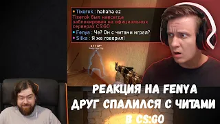 Реакция на Fenya: Друг Спалился с Читами в CS:GO