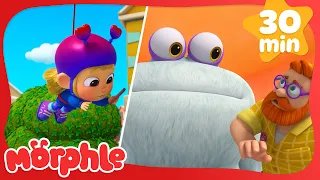 The Runaway Pizza | Morphle | Cars, Trucks & Vehicles Cartoon | Moonbug Kids