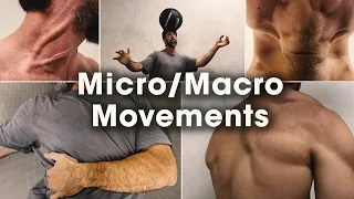 Micro & Macro Movements