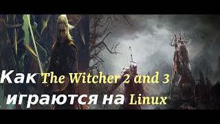 Как The Witcher 2 and 3 играется на Linux