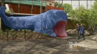 Kennywood Visitors In For A “Whale” Of A Time This Summer