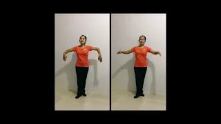 Basic Folk Dance Steps - Hayon-hayon