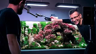 HOW TO TAKE A PLANTED TANK PHOTO - CONTEST TANK PHOTOGRAPHY GUIDE