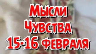 ❤️Мысли, Чувства, 15-16 февраля.❤️Просто смотри. Общий расклад, гадание на картах, таро, таролог.