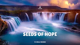 Taoufik - Seeds Of Hope (Official Music 2024)