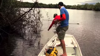 FISH FINDER AMAZON FISHING FOR PEACOCK BASS