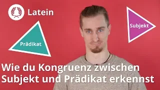 Kongruenz zwischen Subjekt und Prädikat: erkennen und übersetzen – Latein | Duden Learnattack