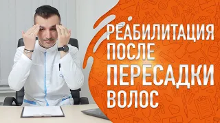 Реабилитация после пересадки волос. Что норма, а что нет?