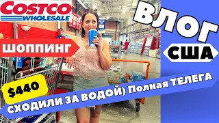 Большая ЗАКУПКА продуктов НА $440 / магазин  COSTCO В АМЕРИКЕ  / Что купили / США / ФЛОРИДА