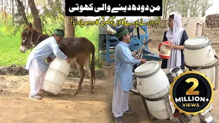 Doodh Khoti Wala | Number Daar | Rocket | Preeto  | New Top Funny | Punjabi Comedy Video | Chal TV