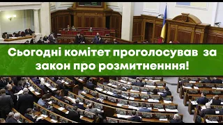 Комітет податкової і митної політики 08.04.21 проголосував за закон про розмитнення!