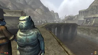 The Elder Scrolls: Morrowind. Slimy "Sloads" Test.