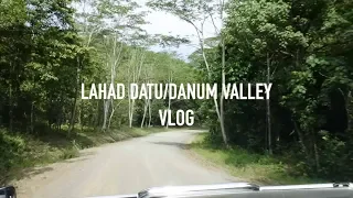 4 DAYS IN THE JUNGLE || DanumValley VLOG || part 1