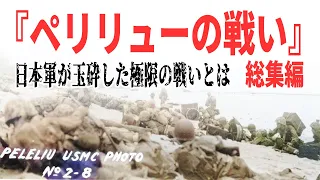 【ペリリューの戦い】砲撃と空襲・日本軍によるスコールのような砲撃【総集編】 《日本の火力》