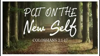 Devotional | Put on your NEW self | Colossians 3:1-17