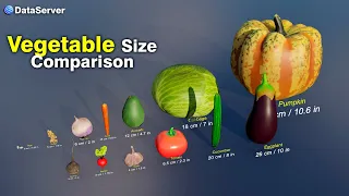 Vegetable Size Comparison 2024
