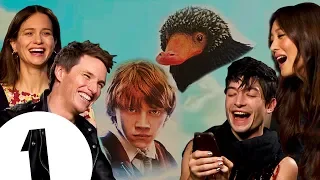 Ron vs. The Niffler: Who wins? The Fantastic Beasts 2 cast on the real star of the series.