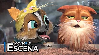 El Gato con Botas conoce a Perrito - El gato con botas: El último deseo (2022) (Español Latino) HD