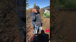 Moose hunting 2018  cooking