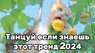 😇🦋Танцуй если знаешь этот тренд💓🍫Тренды 2024года😇