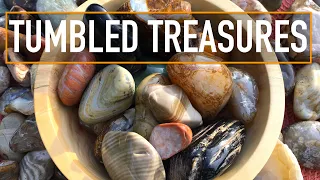 BEAUTIFUL TUMBLED AGATES, JASPER, AND PETRIFIED WOOD | Montana Rockhounding