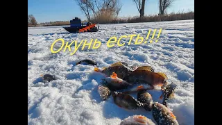 Окунь! Я тебя нашел!!!