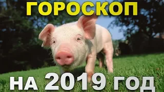 Гороскоп на 2019 год. Год Свиньи.