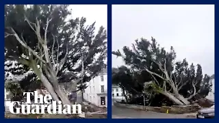 Storm Eunice brings down a large tree in Cornish town centre: 'I caught that on video'