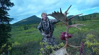 Toms Alaskan Moose Hunt - Stuck N the Rut 19