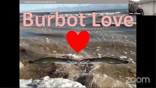 Love in the water…The mysteries and love life of the Burbot