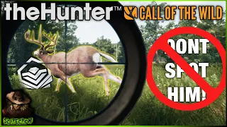 **NO SPOTTING CHALLENGE** This Diamond Encounter BLEW MY MIND! Call of the wild