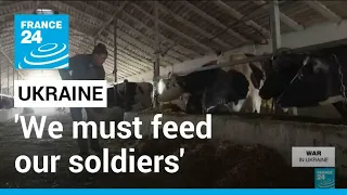 'We must feed our soldiers': Farmers in Ukraine continue work amid Russia's invasion • FRANCE 24