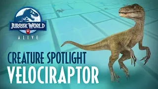 Creature Spotlight - Velociraptor