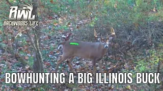 Bowhunting A Big Illinois Buck 11.3