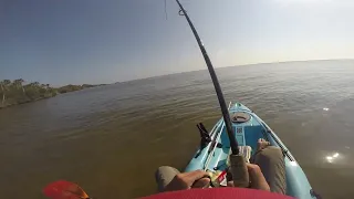 Memorial Day Redfish