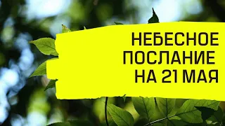 Небесное послание на 21 мая. Ваши силы.