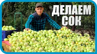 СКОЛЬКО ПОЛУЧИТСЯ СОКА ИЗ БОЧКИ ЯБЛОК?