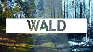 W4LD - Ein Episodenfilm (Crowdfunding-Trailer)