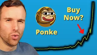 Why Ponkee is up 🤩 Crypto Token Analysis